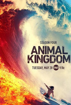 Animal Kingdom  Season 4 (2019) แอนิมอล คิงดอม 4